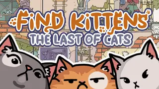 FIND KITTENS: The last of cats