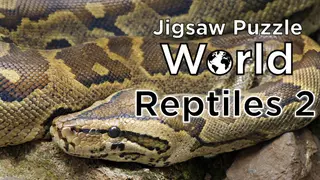 Jigsaw Puzzle World - Reptiles 2