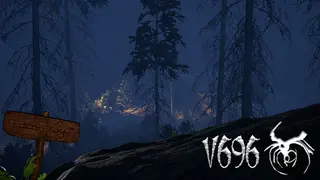 V696
