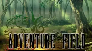 Adventure Field Remake Edition - Switch