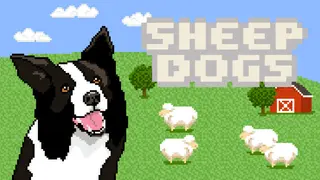 Sheepdogs
