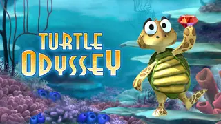Turtle Odyssey