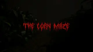 The Corn Maze
