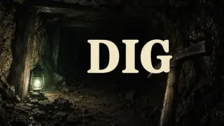 Dig