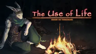 The Use of Life