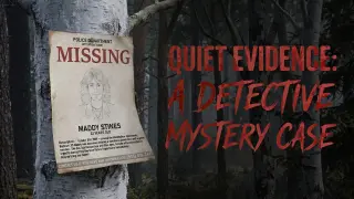 Quiet Evidence: A Detective Mystery Case - Switch
