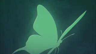 Jukai Maze - Switch