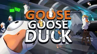 Goose Goose Duck