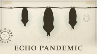 Echo Pandemic