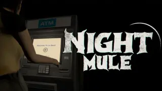NIGHT MULE