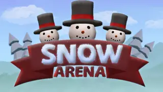 Snow Arena