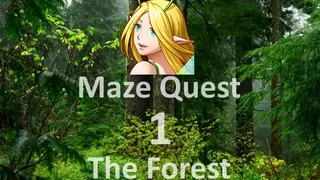 Maze Quest 1: The Forest