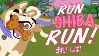Run Shiba Run!
