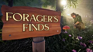 Forager's Finds