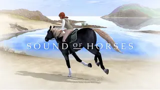 Sound of Horses