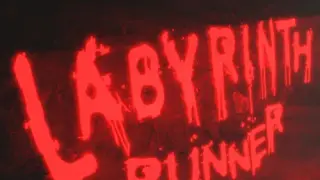 Labyrinth Runner - Horror Escape Survive Simulator - Switch