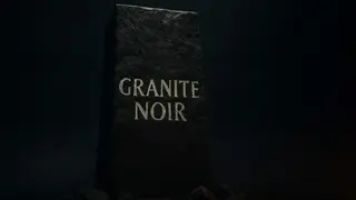 Granite Noir: The Social Experiment