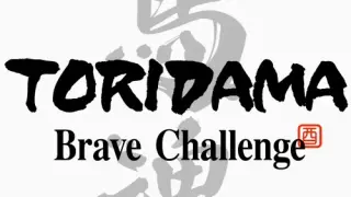 TORIDAMA: Brave Challenge - Switch