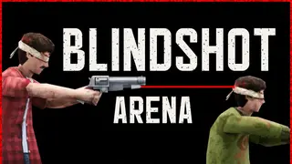Blindshot Arena