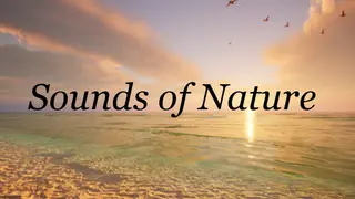 Sounds of Nature