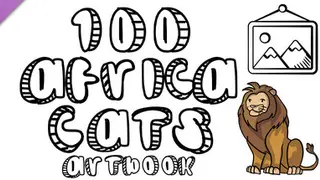 100 Africa Cats - Artbook Deluxe