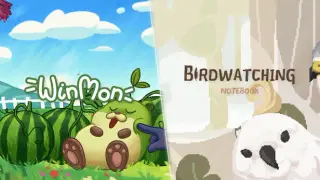 Winmon x Birdwatching