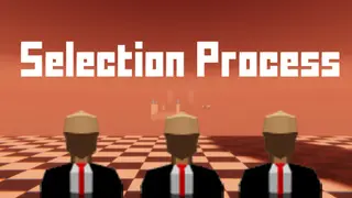 Selection Process