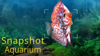 Snapshot Aquarium
