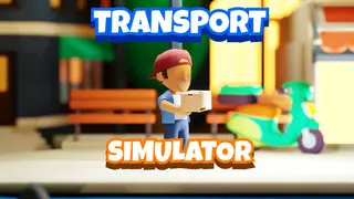 Transport Simulator