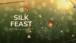 Silk Feast