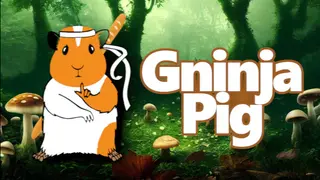 Gninja Pig
