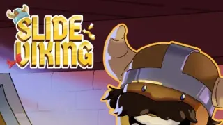 Slide Viking - Switch