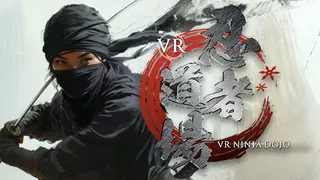 VR NINJA DOJO