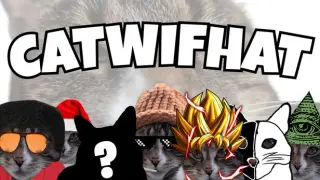 Catwifhat