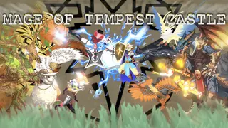 Mage of Tempest Castle