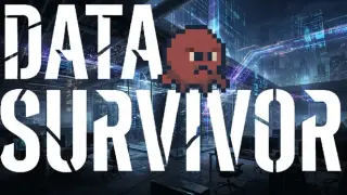 Data Survivor