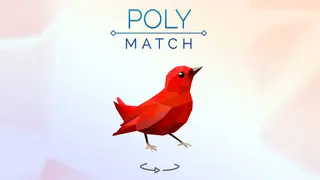 Poly Match