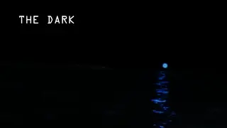 The Dark