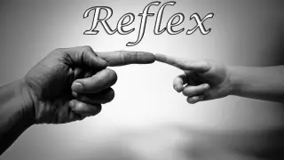 Reflex