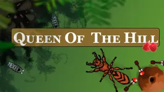 Queen Of The Hill