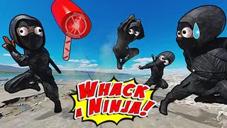 Ninjas Busters: Whack A Ninja