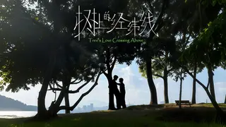 Tree's Love Crossing Above