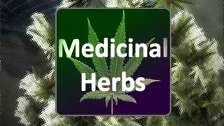 Medicinal Herbs - Cannabis Grow Simulator