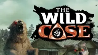 The Wild Case - Switch