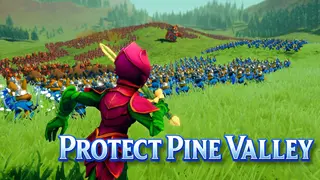 Protect Pine Valley