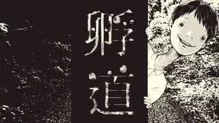 孵道