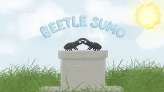 Beetle Sumo