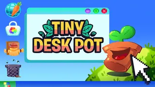 Tiny Desk Pot