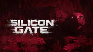 Silicon Gate