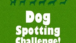 Dog Spotting Challenge! - Switch